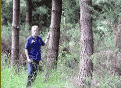 Brian admiring the growth within our forest