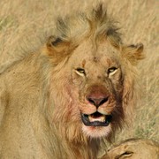 Africa-07.jpg