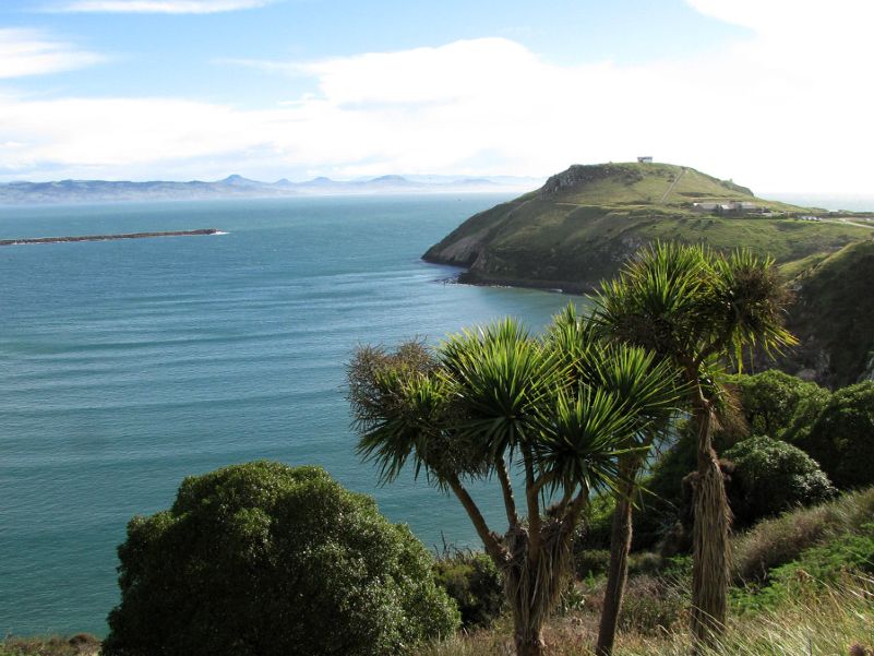 Elm Wildlife Tours Otago Peninsula Dunedin New Zealand