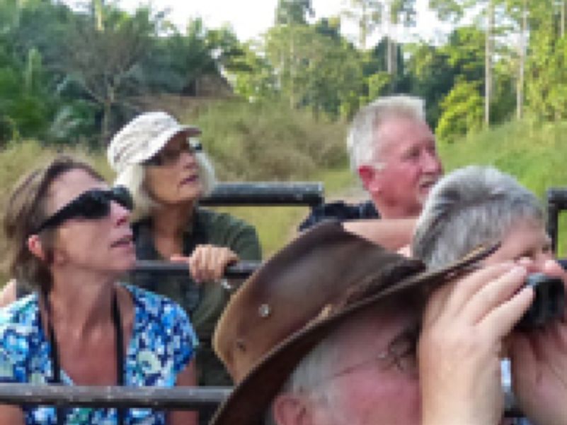 Tabin wildlife area safari -  Photo Eleanor Rogers